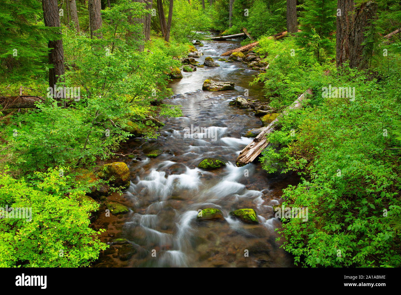 South Fork Rogue River, Rogue River National Forest, Oregon Stockfoto