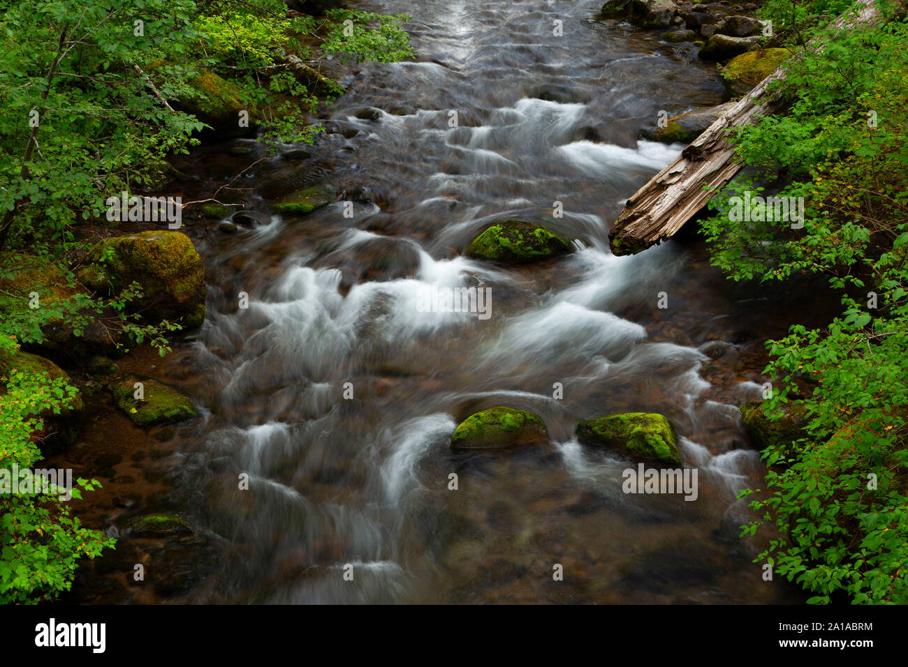 South Fork Rogue River, Rogue River National Forest, Oregon Stockfoto