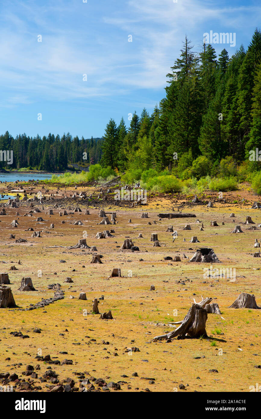 Fish Lake bei niedrigem Wasser, Rogue River National Forest, Oregon Stockfoto