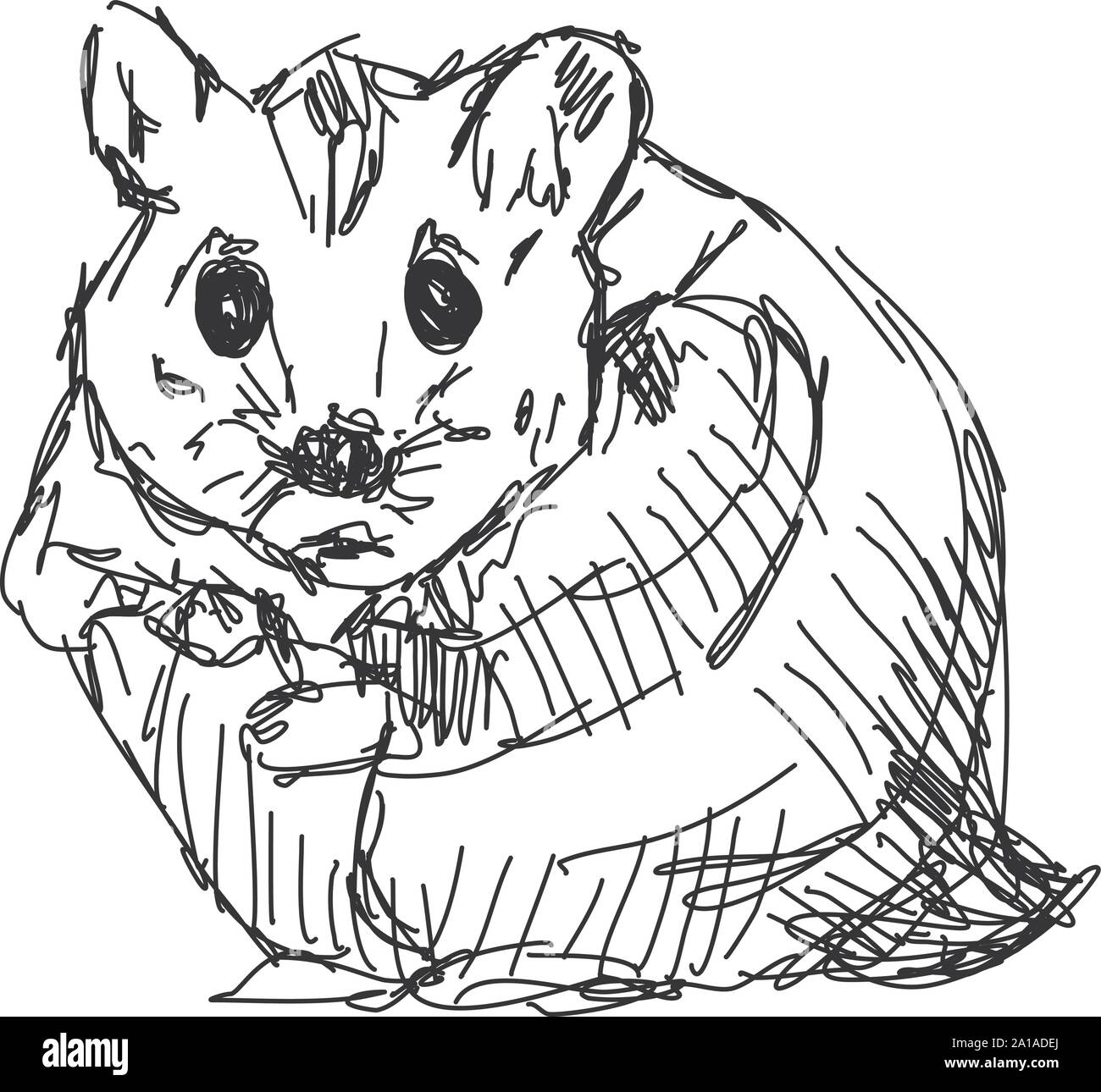 Hamster, Zeichnung, Illustration, Vektor auf weißem Hintergrund. Stock Vektor