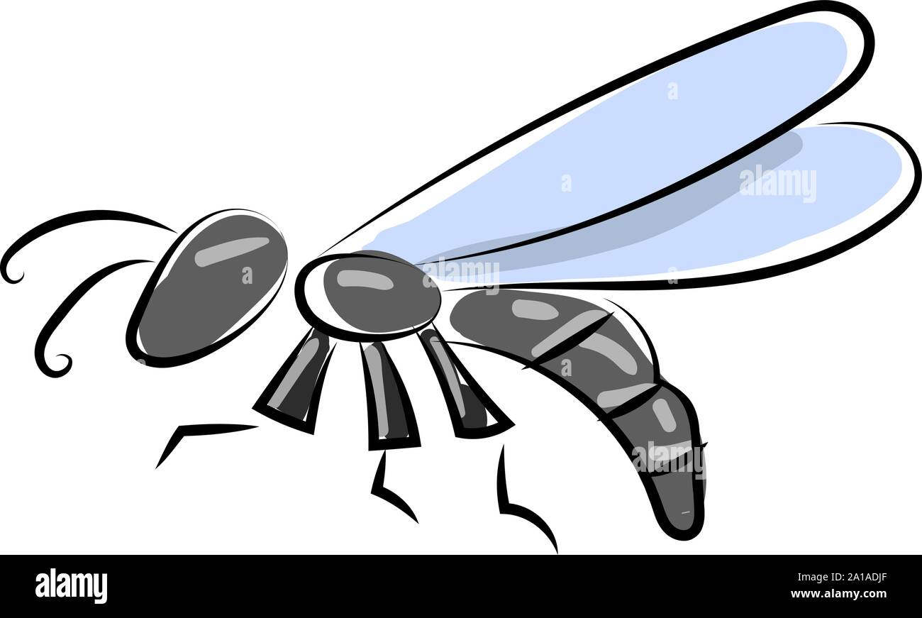 Insekt, Illustration, Vektor auf weißem Hintergrund. Stock Vektor