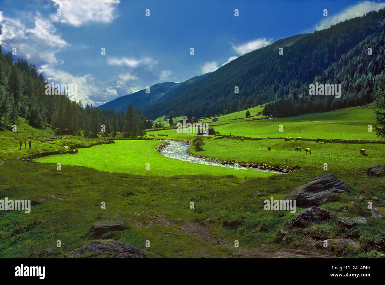 Südtirol : Ahrntal. (Valle Aurina) Stockfoto