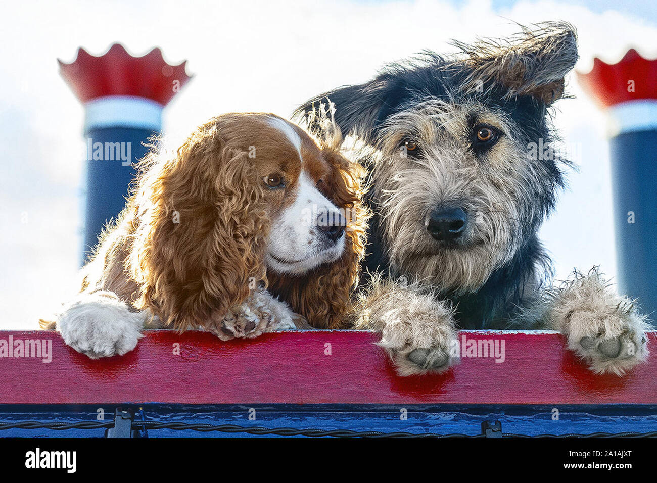 Lady und der Tramp ist eine bevorstehende Amerikanische Romantik Film von Charlie Bean geleitet von einem Drehbuch von Andrew Bujalski und Kari Granlund. Dieses Foto ist nur für den redaktionellen Gebrauch bestimmt und unterliegen dem Copyright der Film Company und/oder der bezeichneten Fotograf durch den Film oder die Produktion Firma zugewiesen. Stockfoto