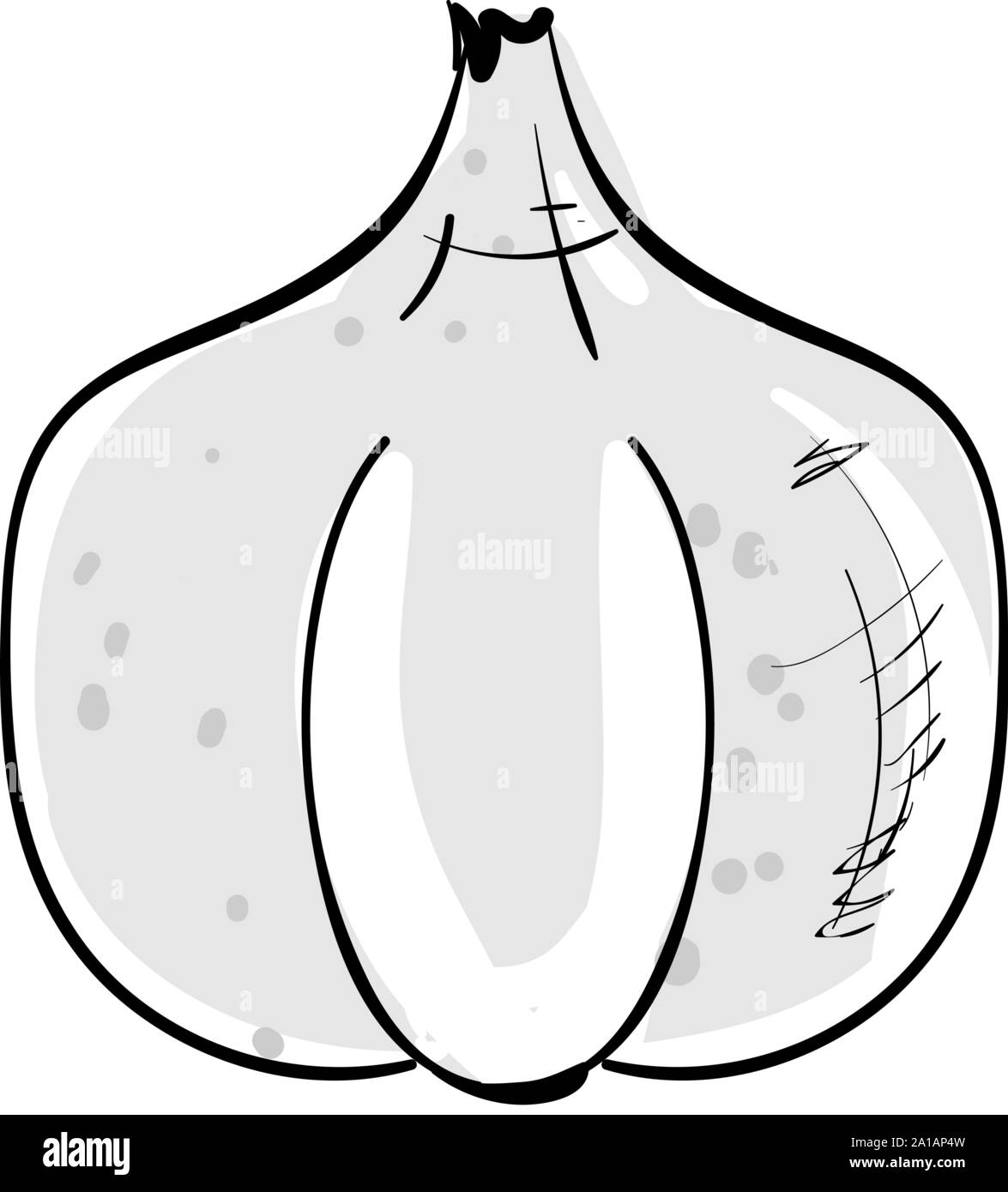 Knoblauch, Illustration, Vektor auf weißem Hintergrund. Stock Vektor