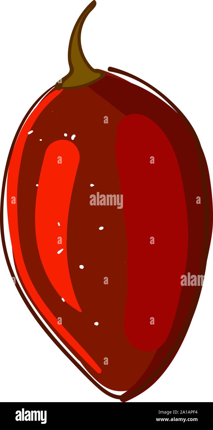 Red tamarillo, Illustration, Vektor auf weißem Hintergrund. Stock Vektor