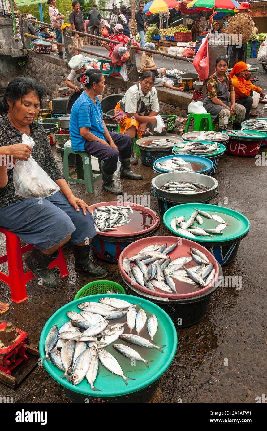 Frauen verkaufen Fisch, an der Pasar Badung Markt in Denpasar, Bali, Indonesien Stockfoto