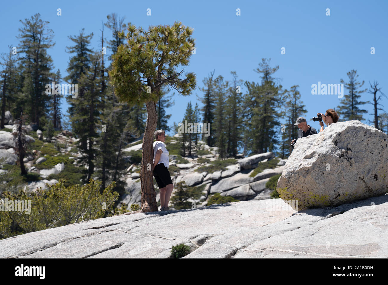 Yosemite National Park, CA - 11. Juli, 2019: Touristen Line up Fotos mit dem einsamen Baum auf Olmsted Point Off der Tioga Pass zu nehmen Stockfoto