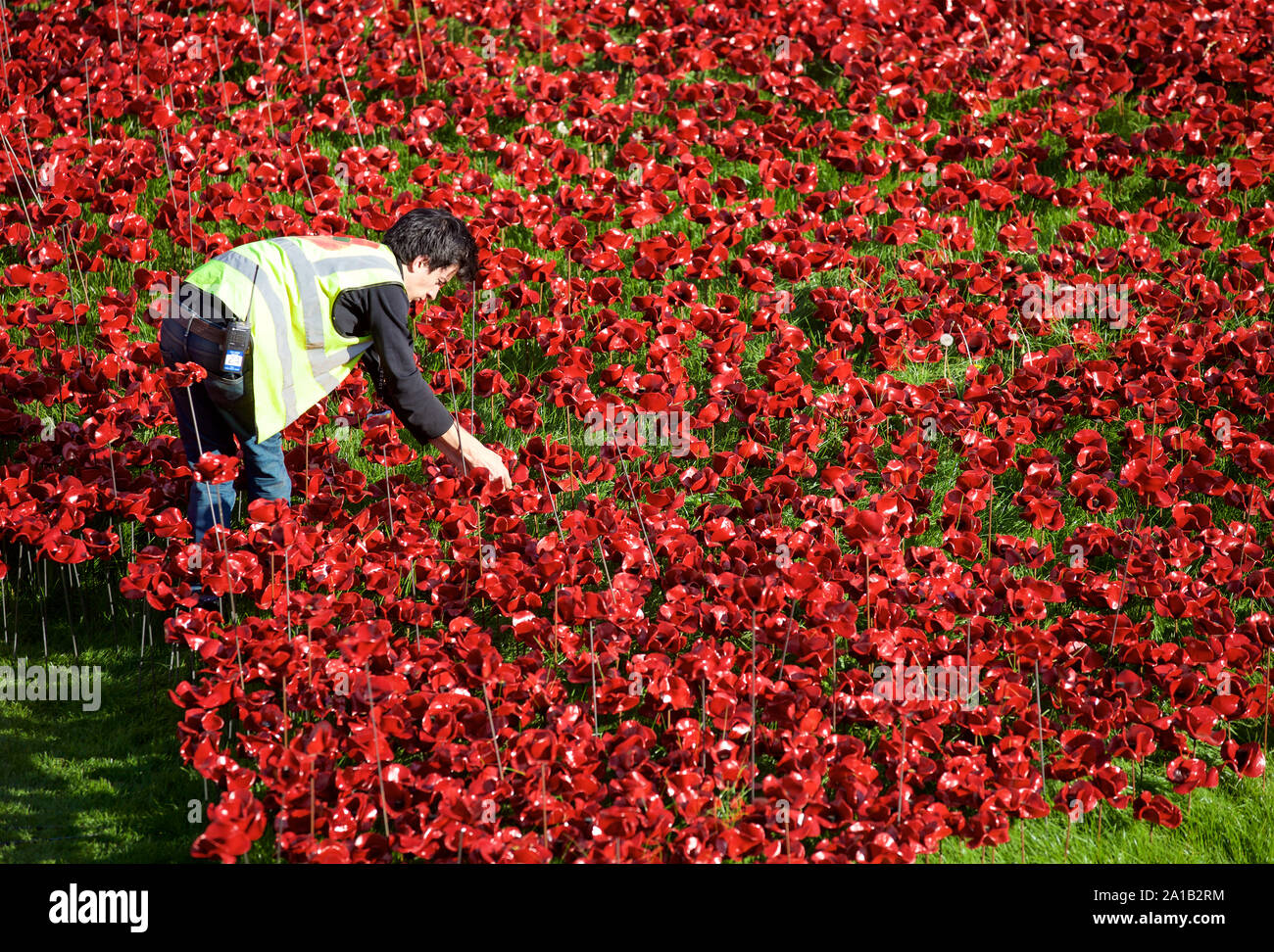 Einer der Freiwilligen auf der Tower von London Blut fegte Länder und Meere der Roten Installation. Stockfoto