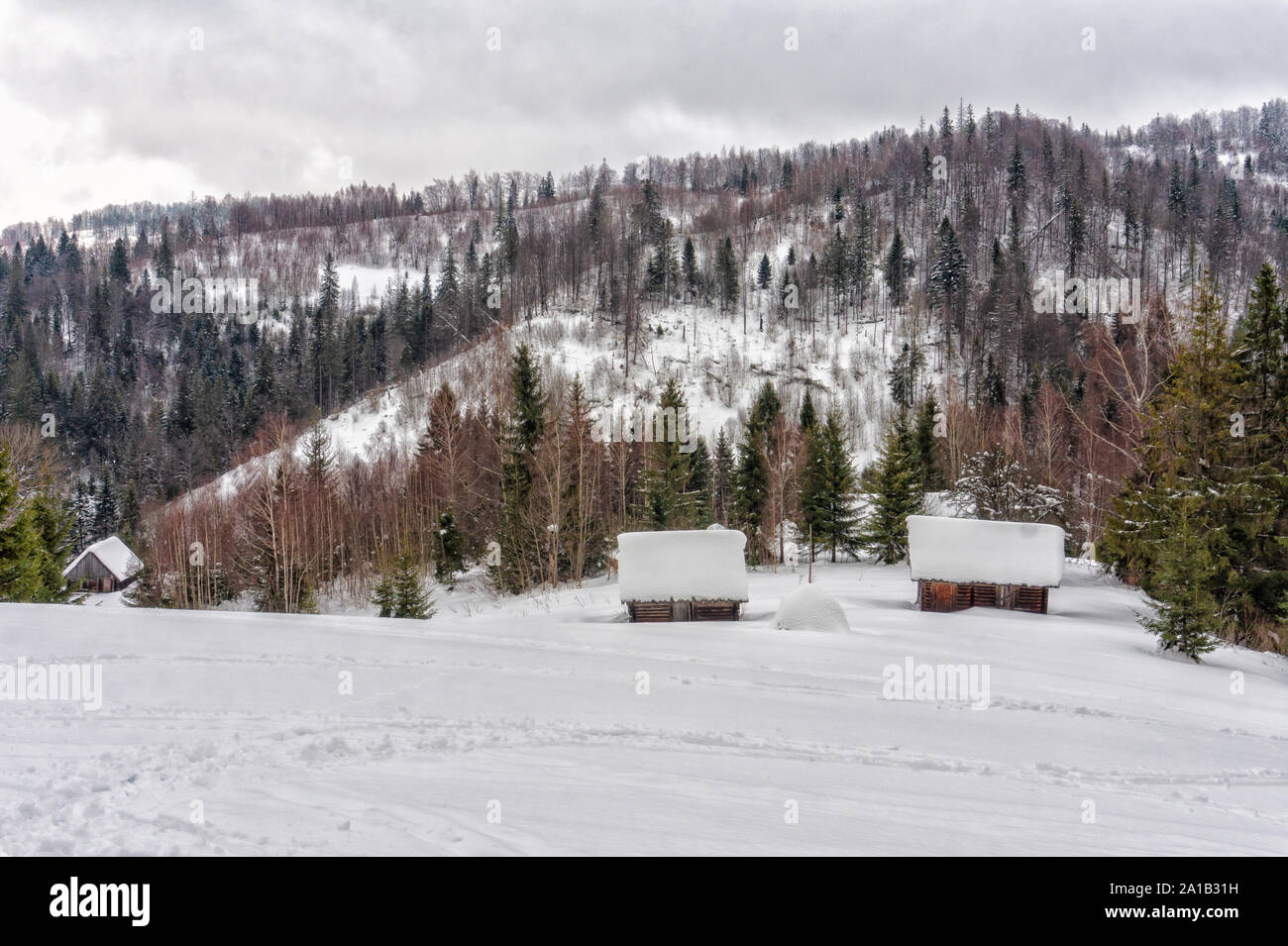 Häuser des Dorfes und grüne Bäume in den verschneiten Bergen Fichte Stockfoto