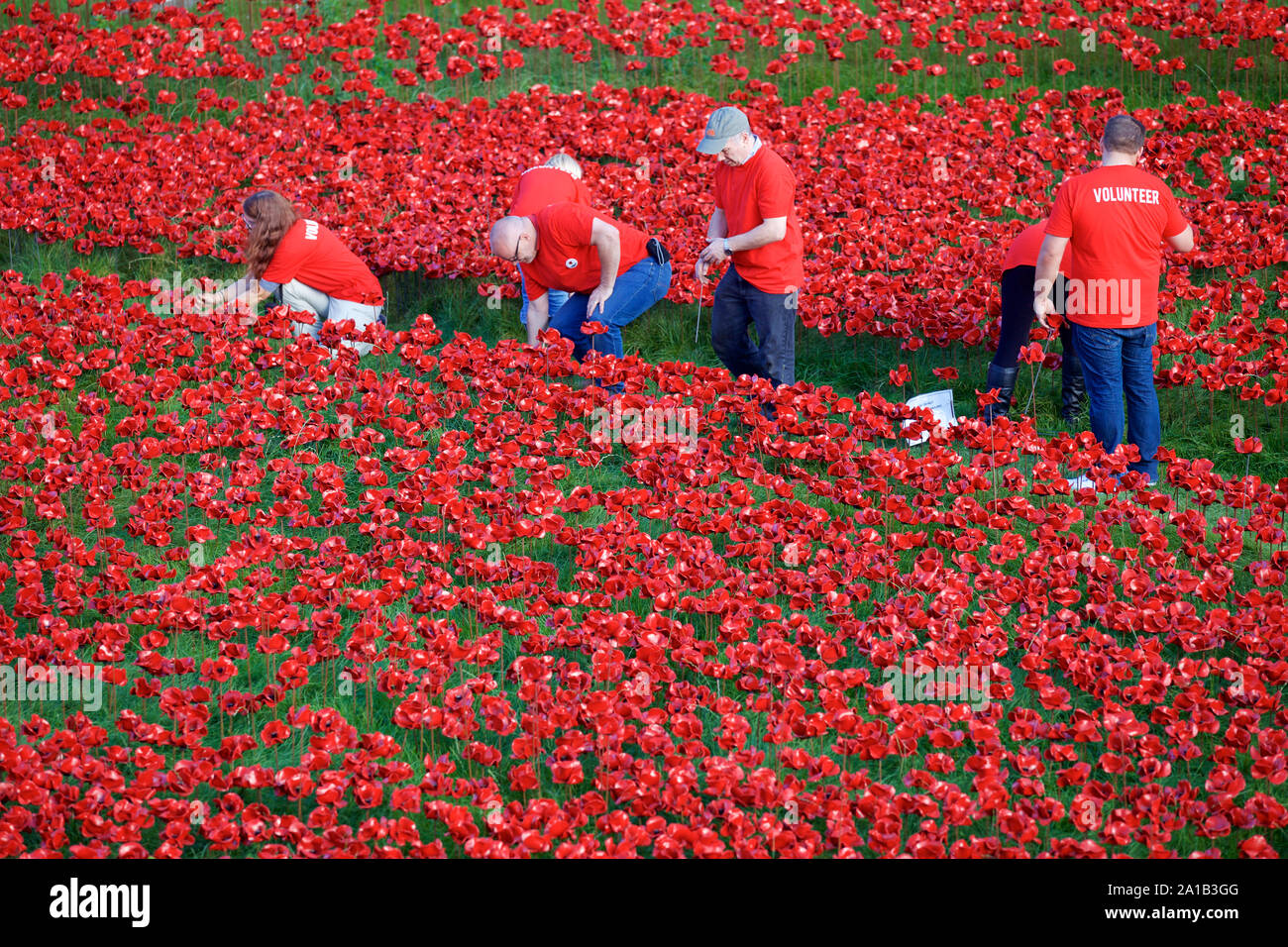 Freiwillige bei den Tower von London Blut fegte Länder und Meere der Roten kunst Installation. Stockfoto