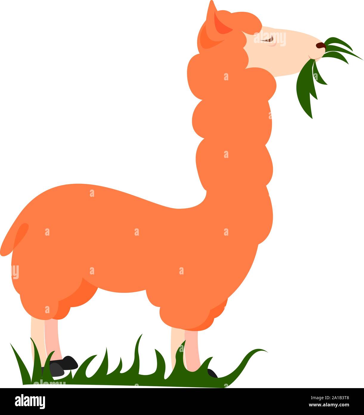 Orange Lama, Illustration, Vektor auf weißem Hintergrund. Stock Vektor