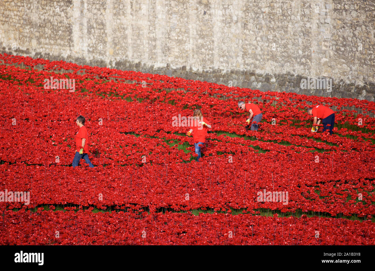 Freiwillige bei den Tower von London Blut fegte Länder und Meere der Roten kunst Installation. Stockfoto