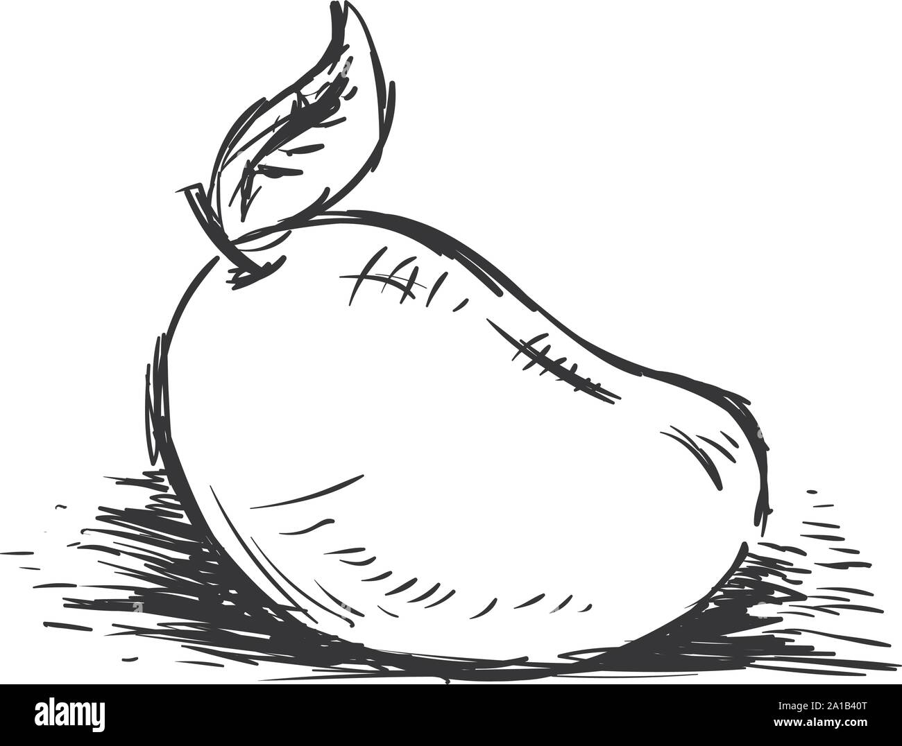 Mango Skizze, Illustration, Vektor auf weißem Hintergrund. Stock Vektor