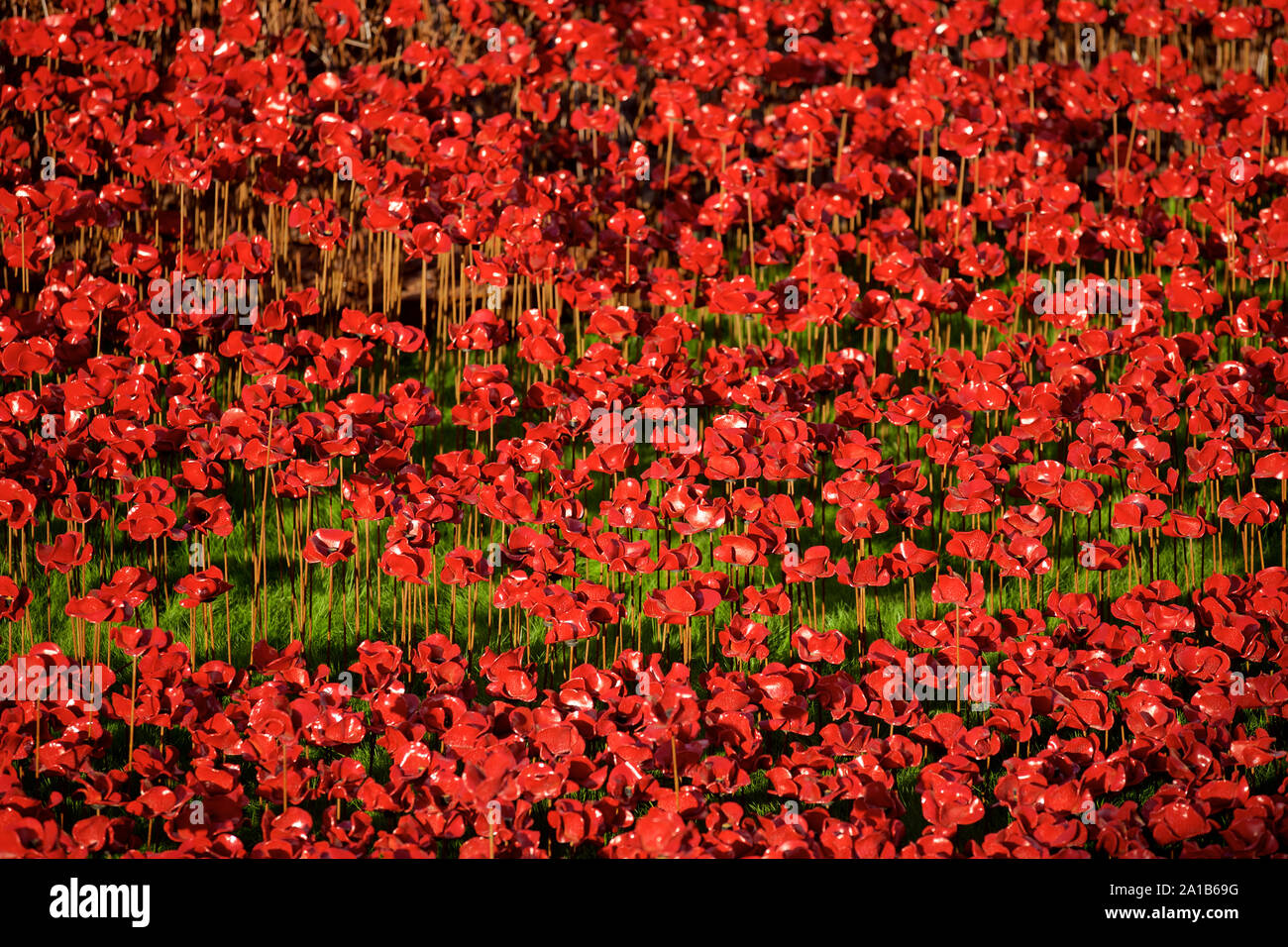 Mohnblumen aus Blut fegte Länder und Meere der Roten kunst Installation am Tower von London Kennzeichnung 100 Jahre seit dem 1. Weltkrieg. Stockfoto