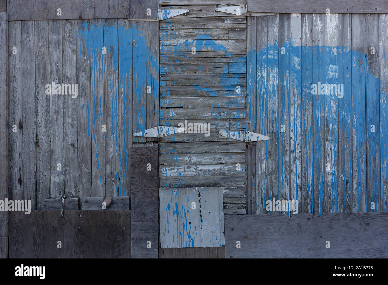 Blau Lackierte Wand Aus Rustikalem Scheune-Holz Stockfoto