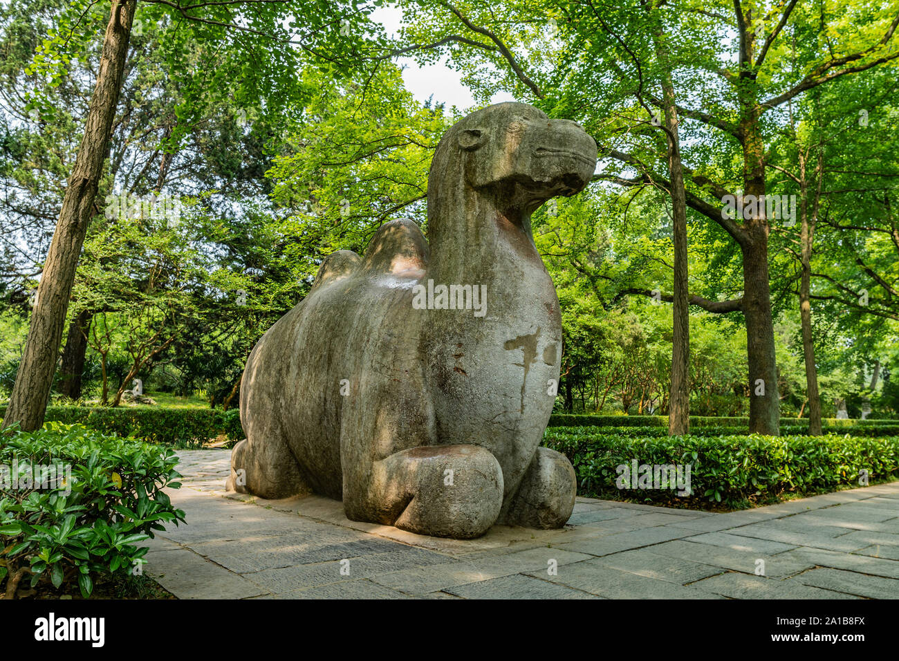 Nanjing Ming Xiaoling Mausoleum Elephant Straße Geist so Low Angle View eines sitzenden Kamel Skulptur Stockfoto