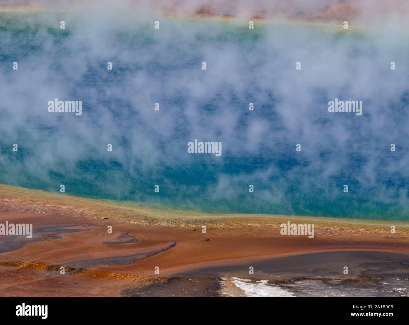 Close-up von Dampf stieg von Grand Prismatic Spring, Midway Geyser Basin, Yellowstone National Park, Wyoming, USA Stockfoto