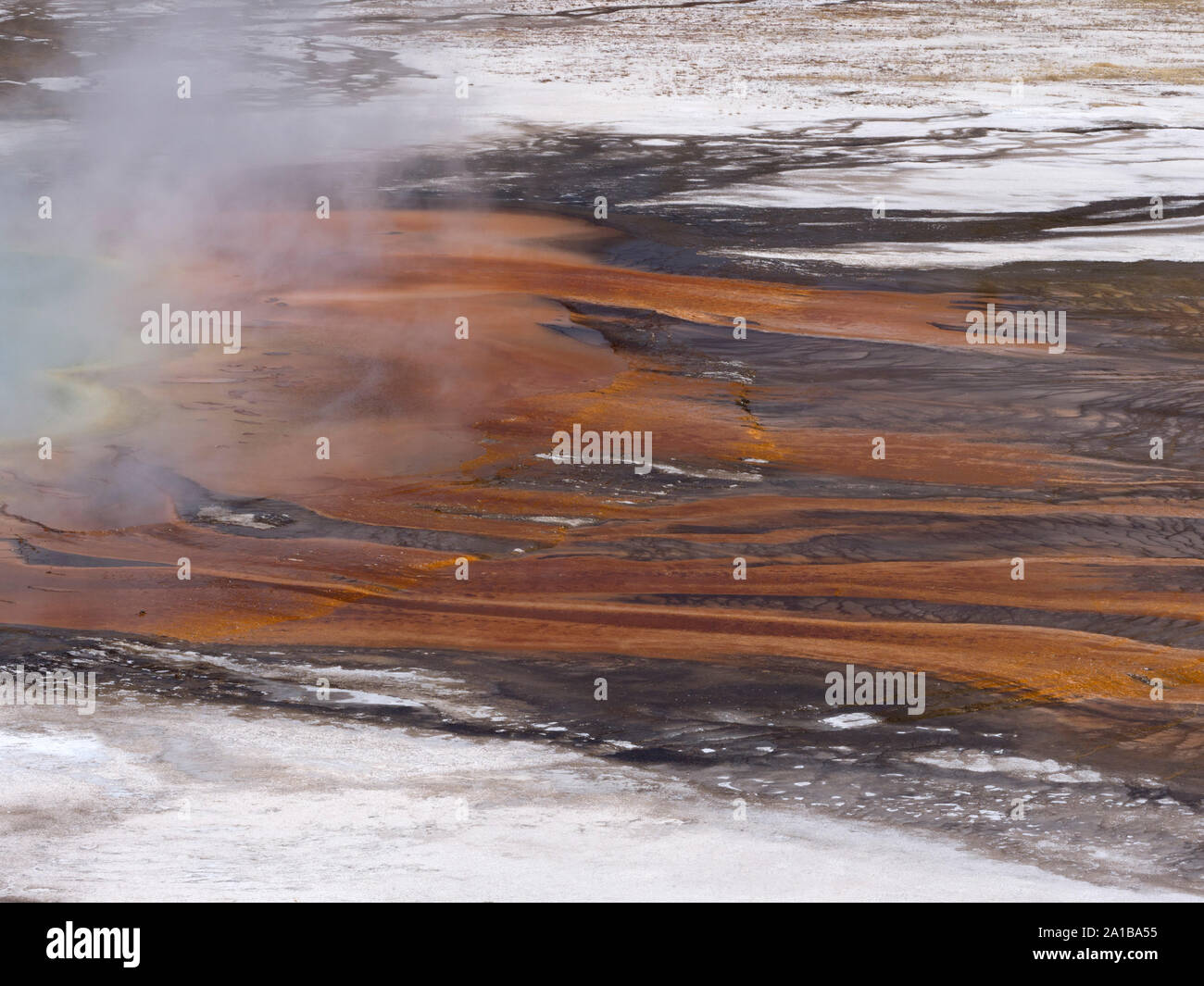 Nahaufnahme der thermophile Algen Kolonien und Mineralien, Grand Prismatic Spring, Midway Geyser Basin, Yellowstone National Park, Wyoming, USA Stockfoto