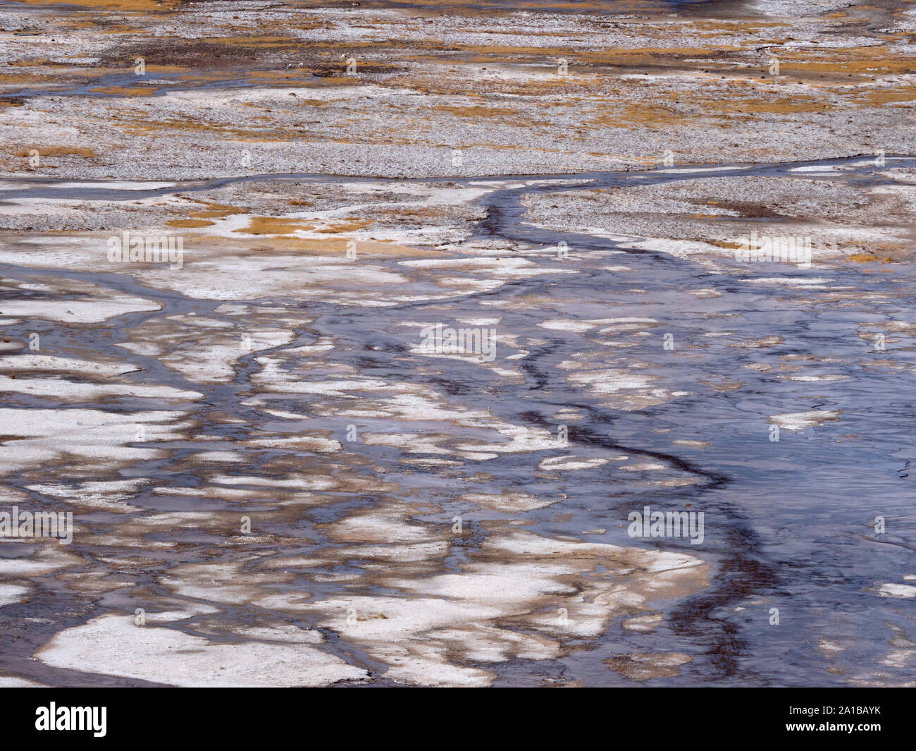 Nahaufnahme der thermophile Algen Kolonien und Mineralien, Grand Prismatic Spring, Midway Geyser Basin, Yellowstone National Park, Wyoming, USA Stockfoto