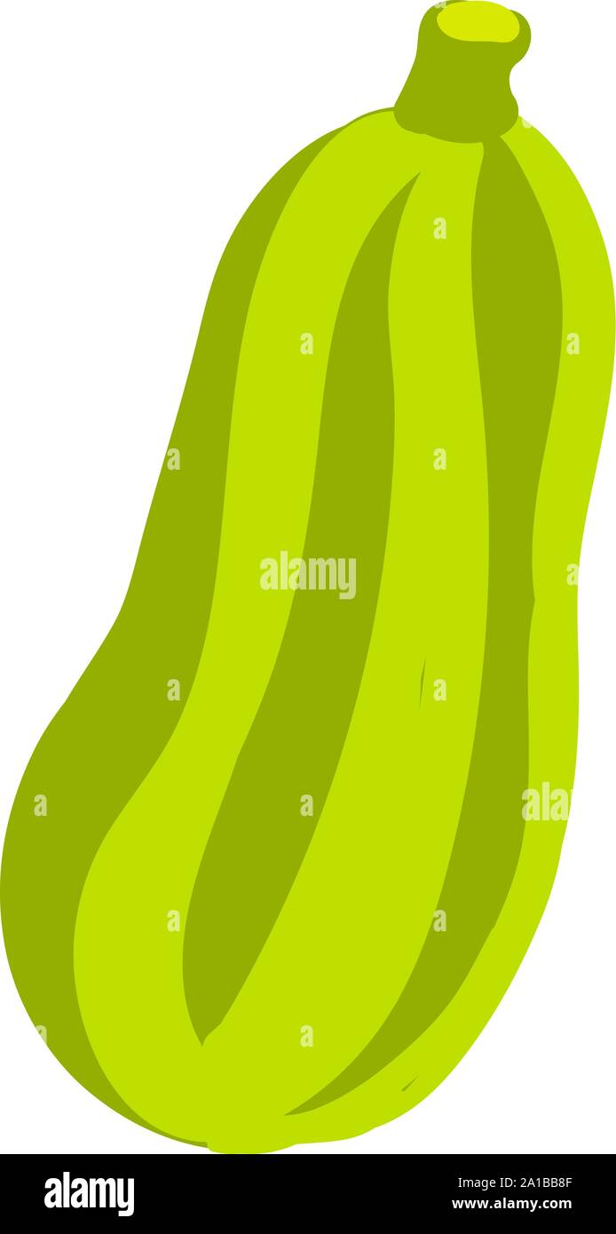 Zucchini Flachbild, Illustration, Vektor auf weißem Hintergrund. Stock Vektor