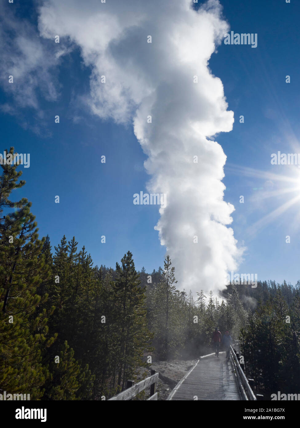 Steamboat Geysir Ausbruch, Norris Geyser Basin, Yellowstone National Park, Wyoming, USA. Oktober 2018. Stockfoto