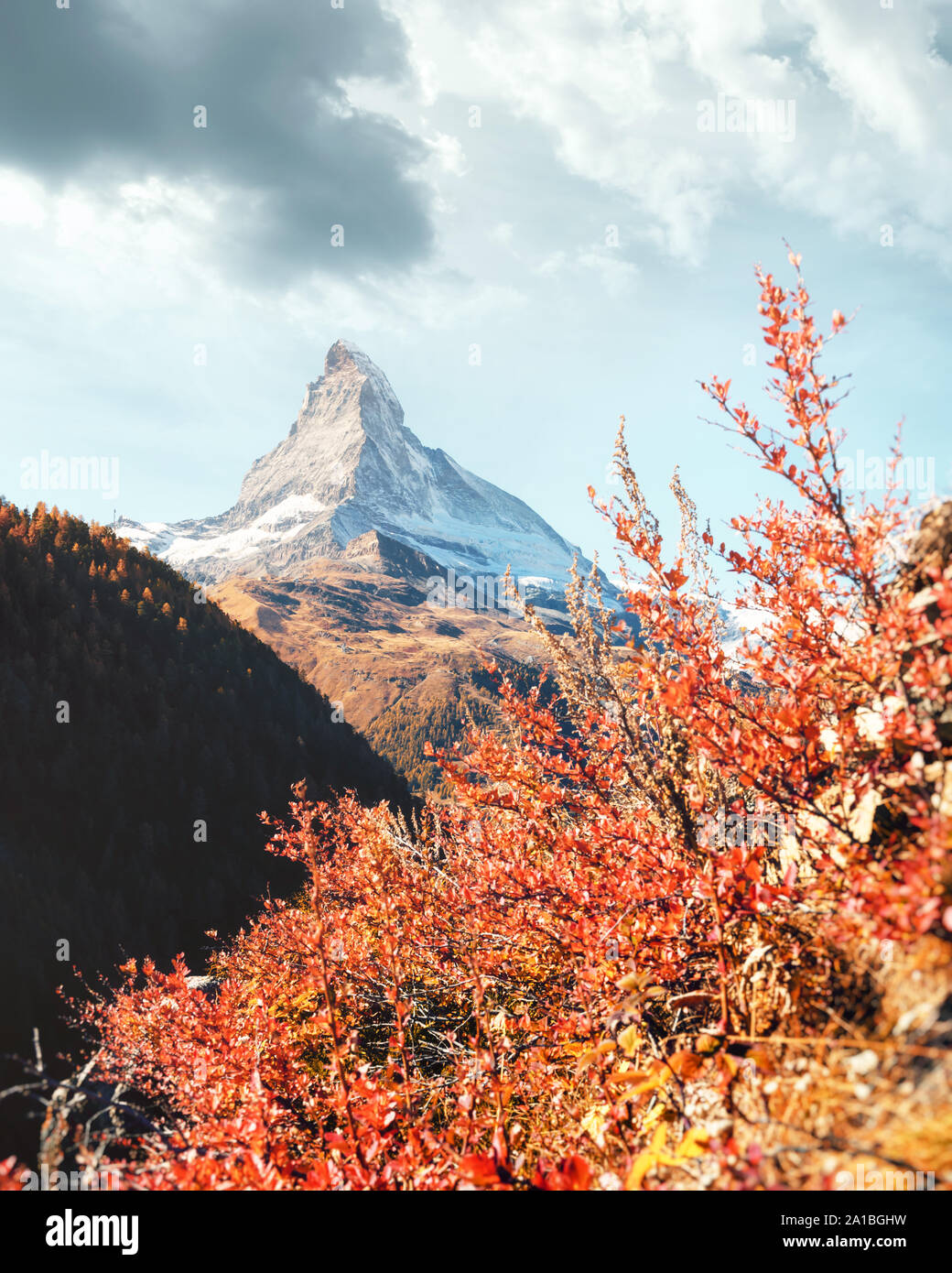 Unglaublich bunte Landschaft mit Blick aufs Matterhorn Matterhorn Peak und rote Blumen Bush in den Schweizer Alpen Stockfoto