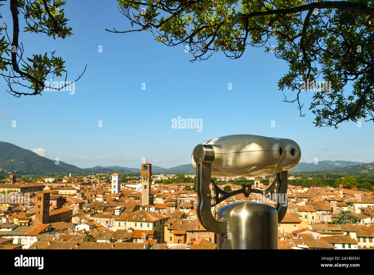 Erhöhte, Panoramablick auf die Innenstadt von Lucca vom Torre Guinigi Turm mit einem Fernglas für Touristen und Ästen von Eichen, Toskana, Italien Stockfoto