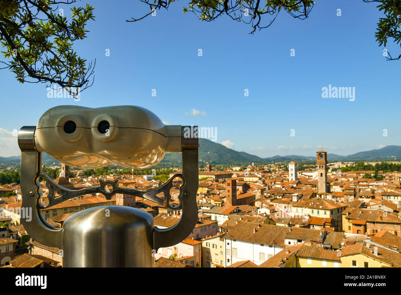 Erhöhte, Panoramablick auf die Innenstadt von Lucca vom Torre Guinigi Turm mit einem Fernglas für Touristen und Ästen von Eichen, Toskana, Italien Stockfoto