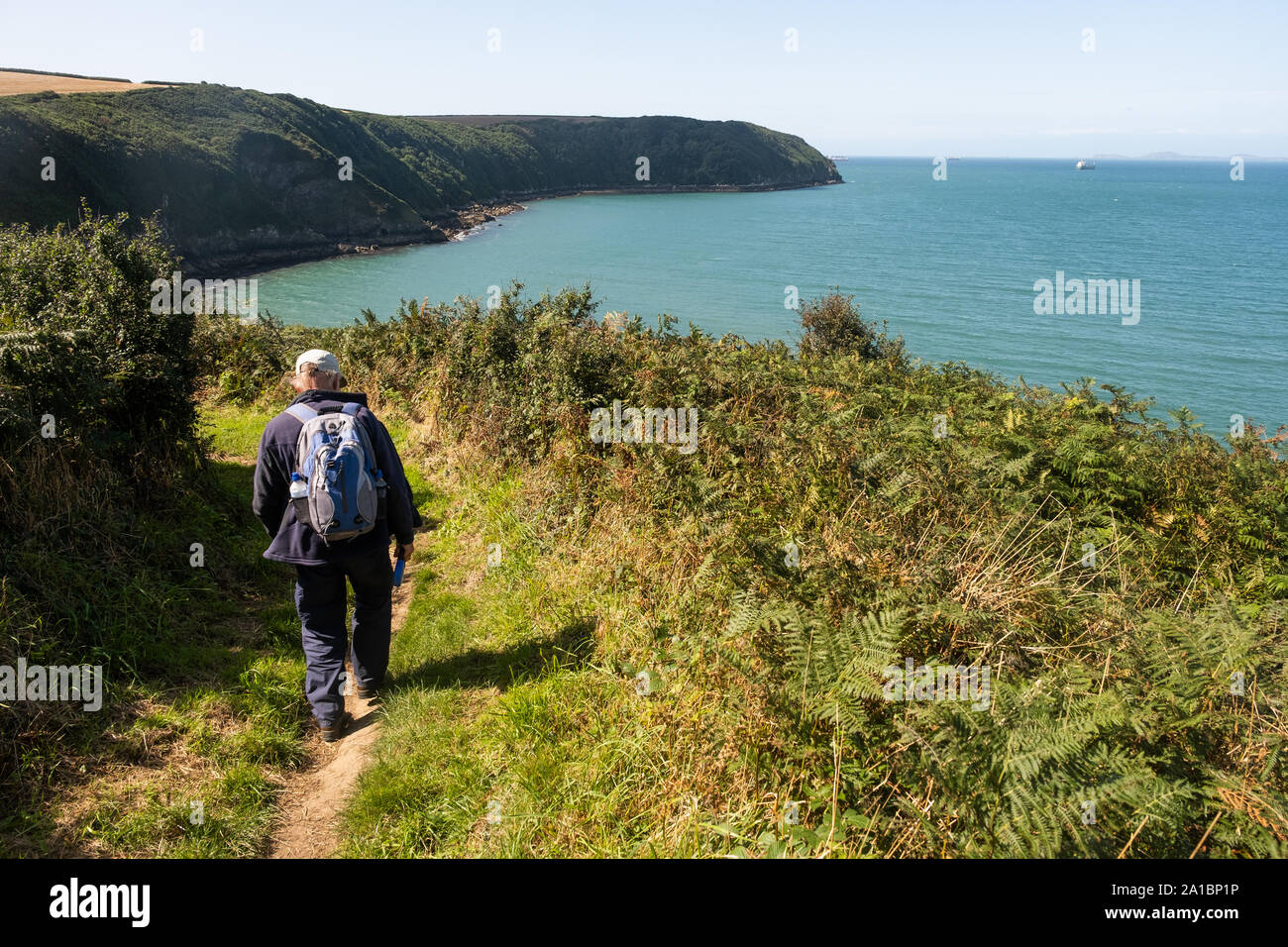 Menschen zu Fuß auf den Pembrokeshire Coastal Path in der Nähe von Little Haven, an der Küste der Bucht von St Braut, Pembrokeshire National Park, South West Wales UK Stockfoto