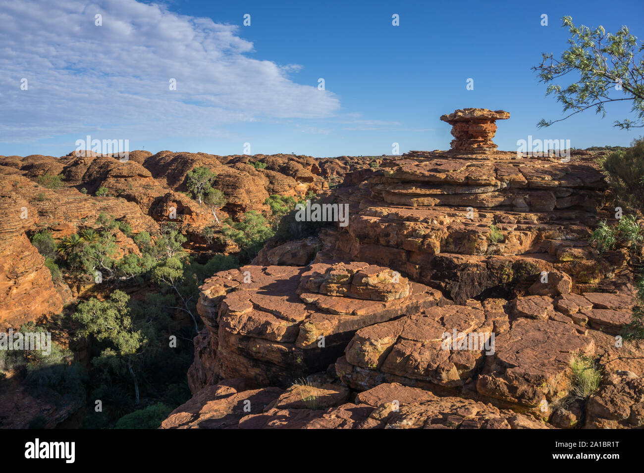 Kings Canyon, Watarrka National Park, Northern Territory, Australien Stockfoto