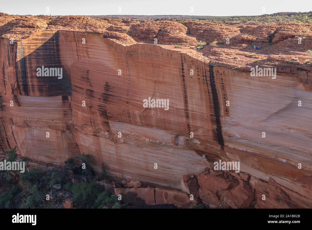 Watarrka National Park Kings Canyon, Australien Stockfoto