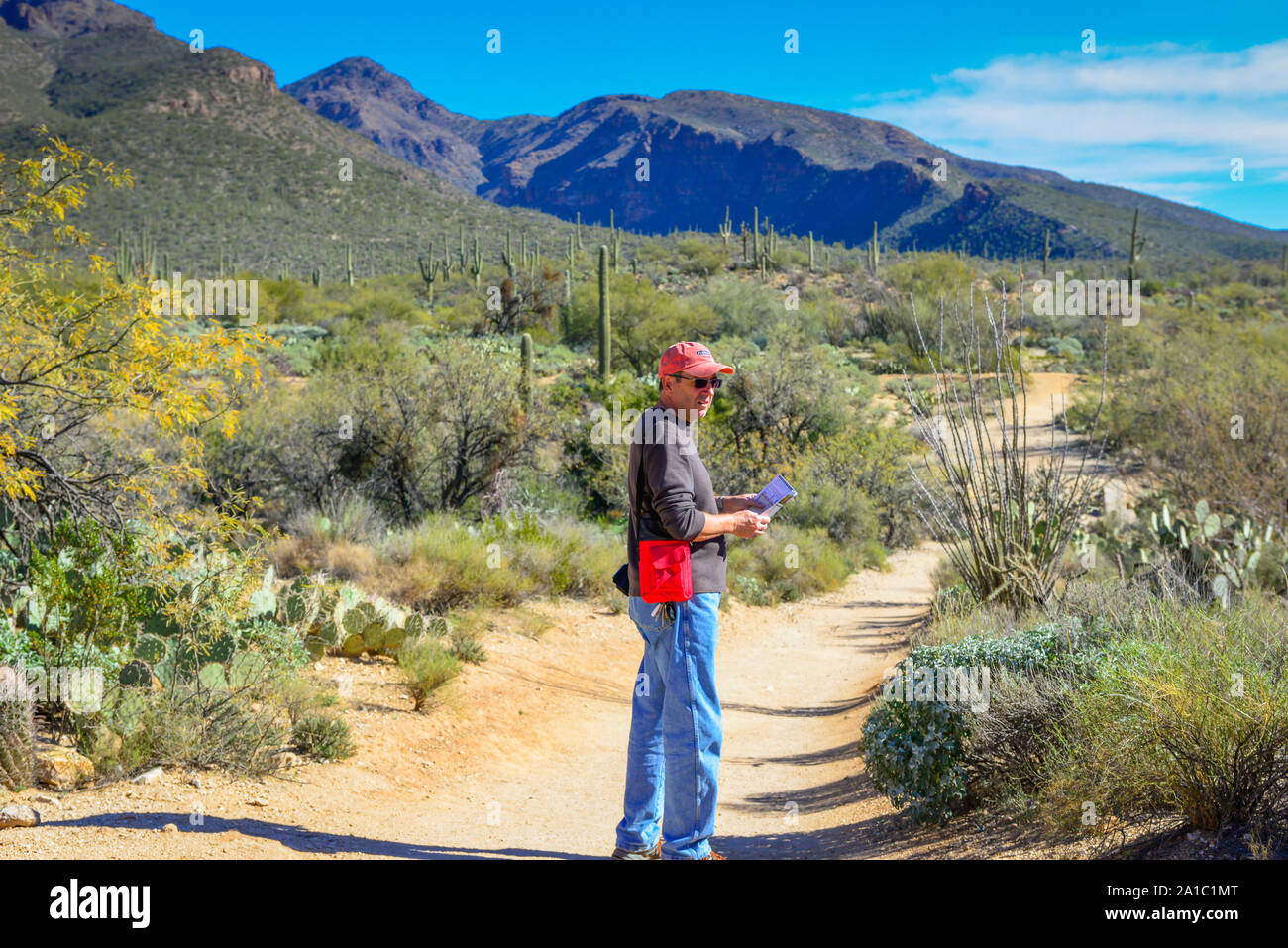 Ein Wanderer ist mit Hut, Sonnenbrille und Wasser während des Gehens eine Spur innerhalb der Sabino Canyon Erholungsgebiet in den Santa Catalina Mountains in der Nähe von vorbereitet Stockfoto