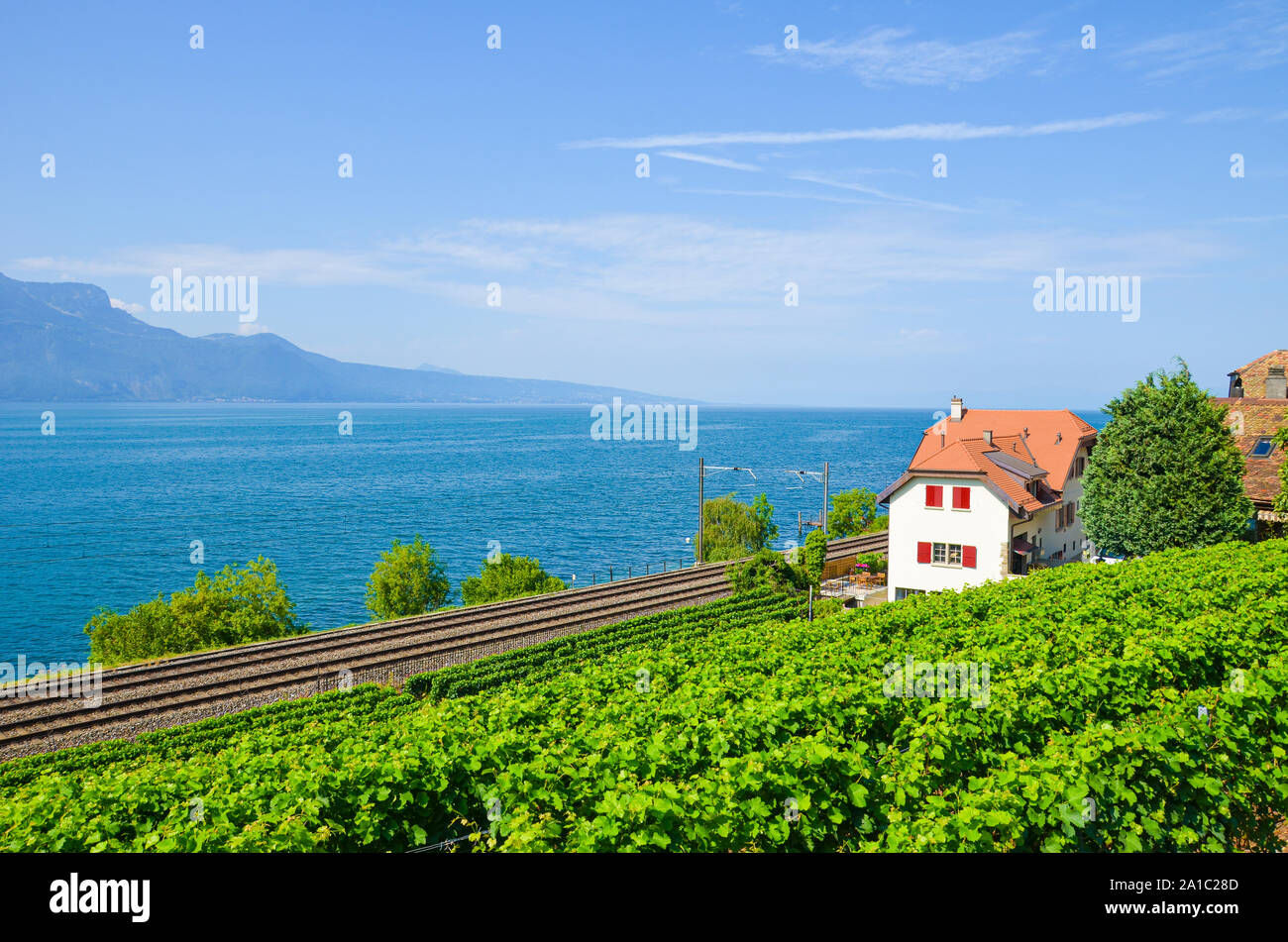 Scenic Railway an der Küste von den Genfer See in der Schweiz führt. Grüner Weinberg auf den angrenzenden Hang. Weinregion Lavaux. Schweizer Sommer. Eisenbahn, Schienen. Stockfoto