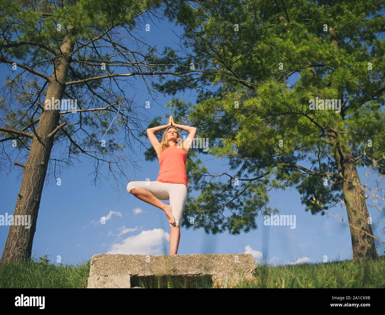 Frau in den 30er Jahren Yoga im Park im Sommer Stockfoto