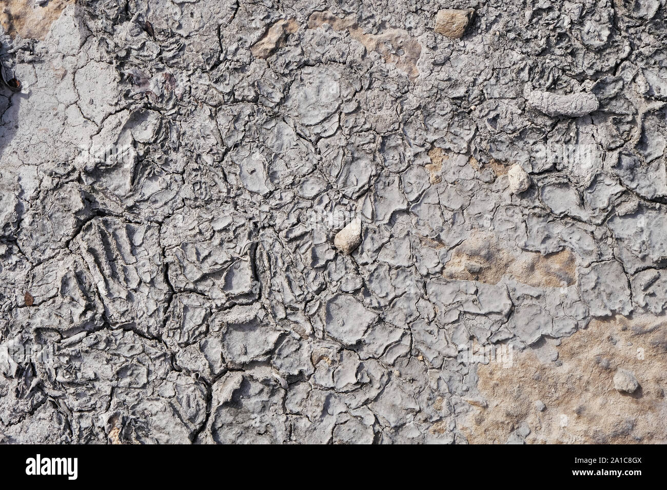 Trockener Boden Boden Textur grau sand Stockfoto