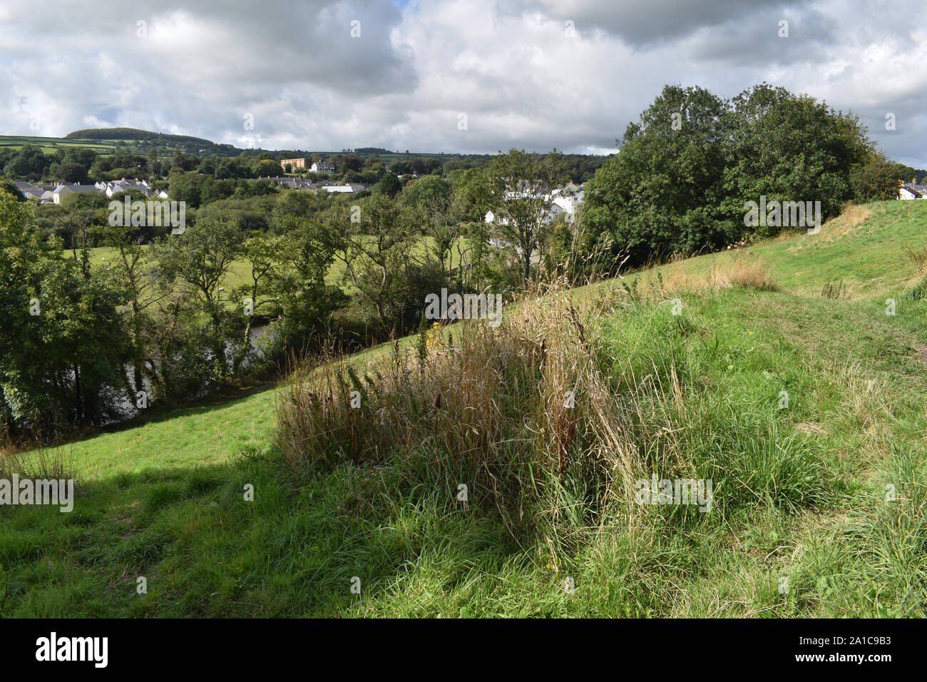 Afon Teifi Tal, Newcastle Emlyn, Wales, Großbritannien Stockfoto