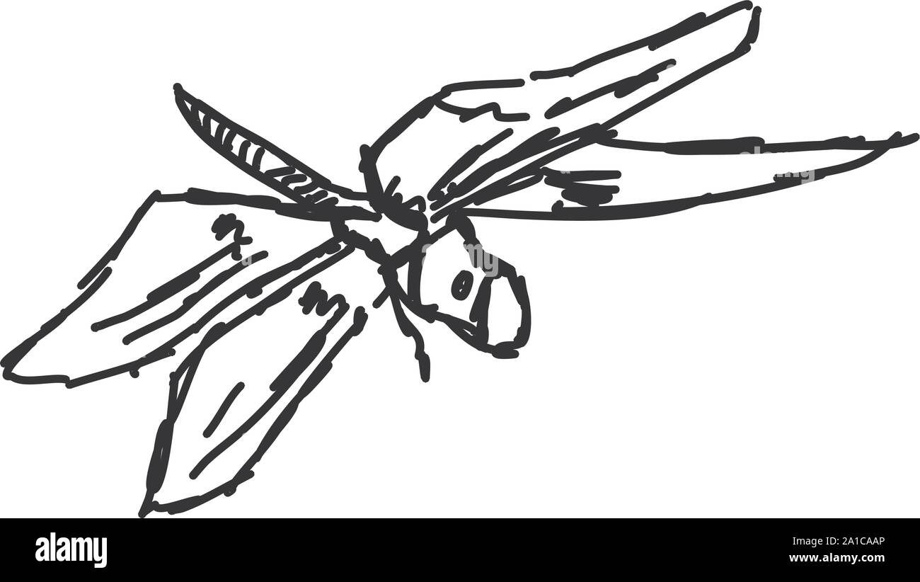 Dragonfly Skizze, Illustration, Vektor auf weißem Hintergrund. Stock Vektor