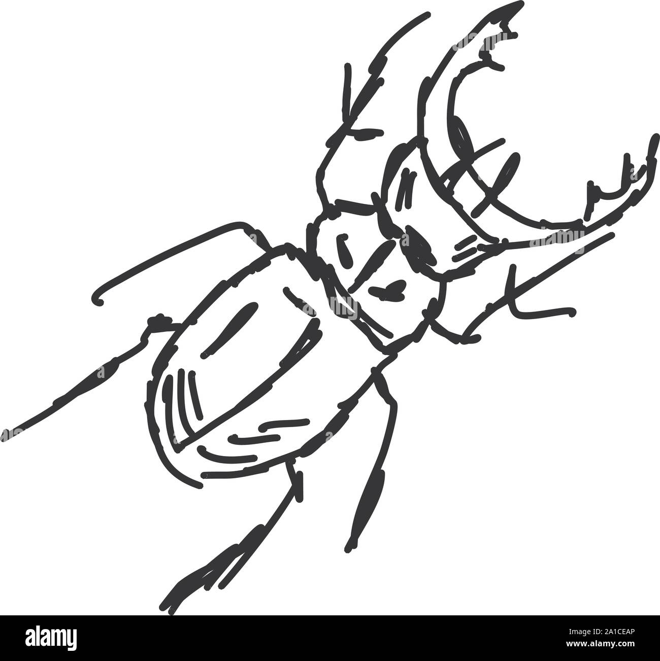 Käfer Skizze, Illustration, Vektor auf weißem Hintergrund. Stock Vektor