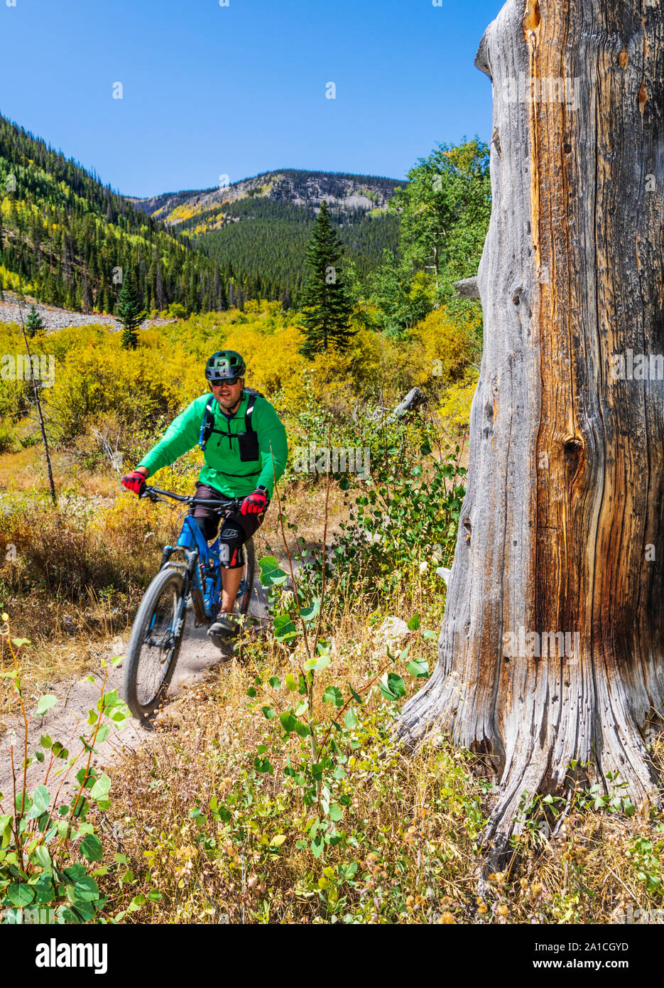 Mountainbiker Abstieg Silver Creek Trail von der Monarch Crest Trail, entlang der Kontinentalen in Colorado Teilen, Reiten in einem Fund Raiser für die Alle Stockfoto