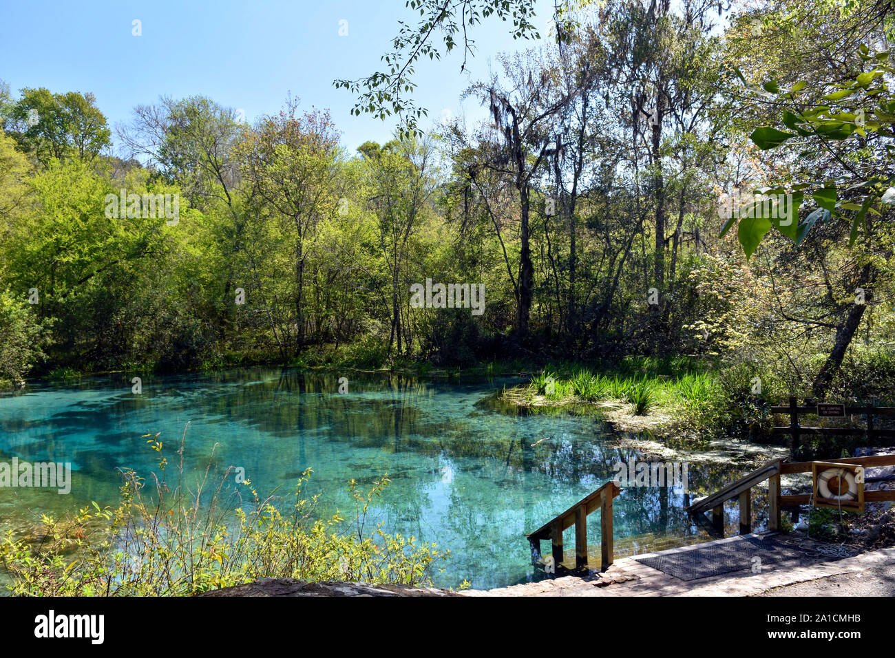 Ichetucknee Springs State Park in Florida, USA ist abseits der ausgetretenen Pfade und ein beliebter Platz für Schläuche, Kajakfahren und andere Wassersportarten. Stockfoto