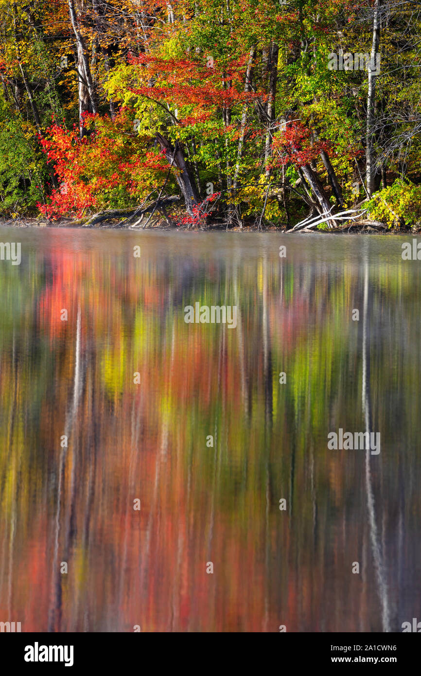 Falllaub in Laurel See, Lee, Massachusetts wider Stockfoto