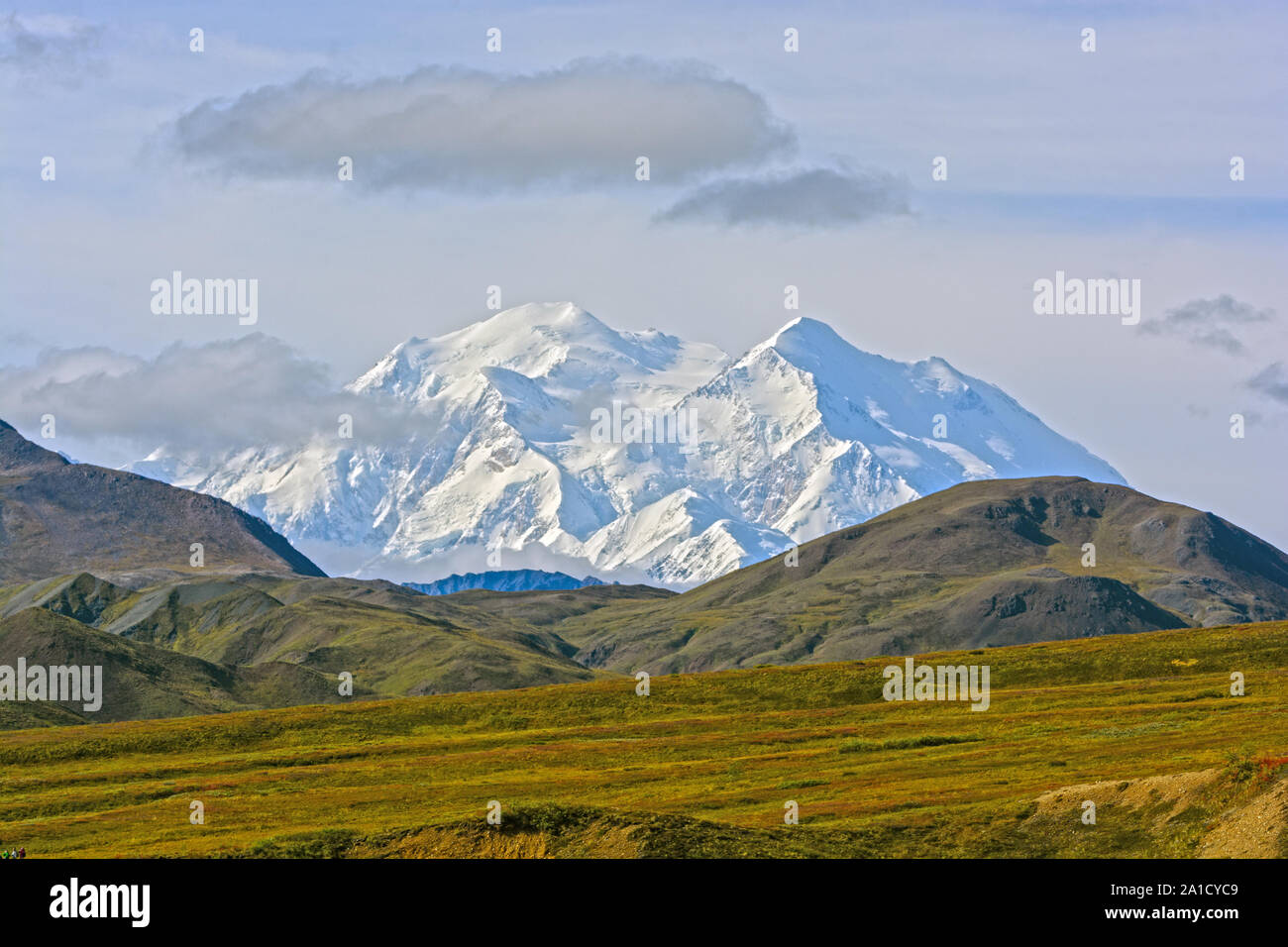 Denali Erscheinen über einer Kante im Denali Nationalpark in Alaska Stockfoto