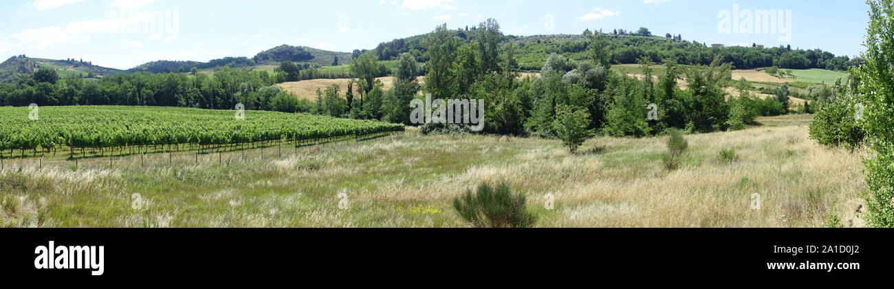 Toscana - Tuscany Stockfoto