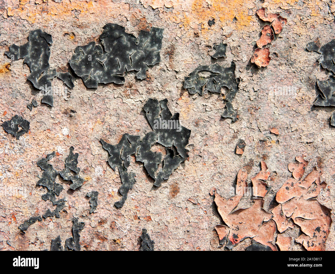 Typische Detail eines antiken Blech von einem italienischen Landhaus, in Eisen mit Rost und Risse im Lack. Stockfoto
