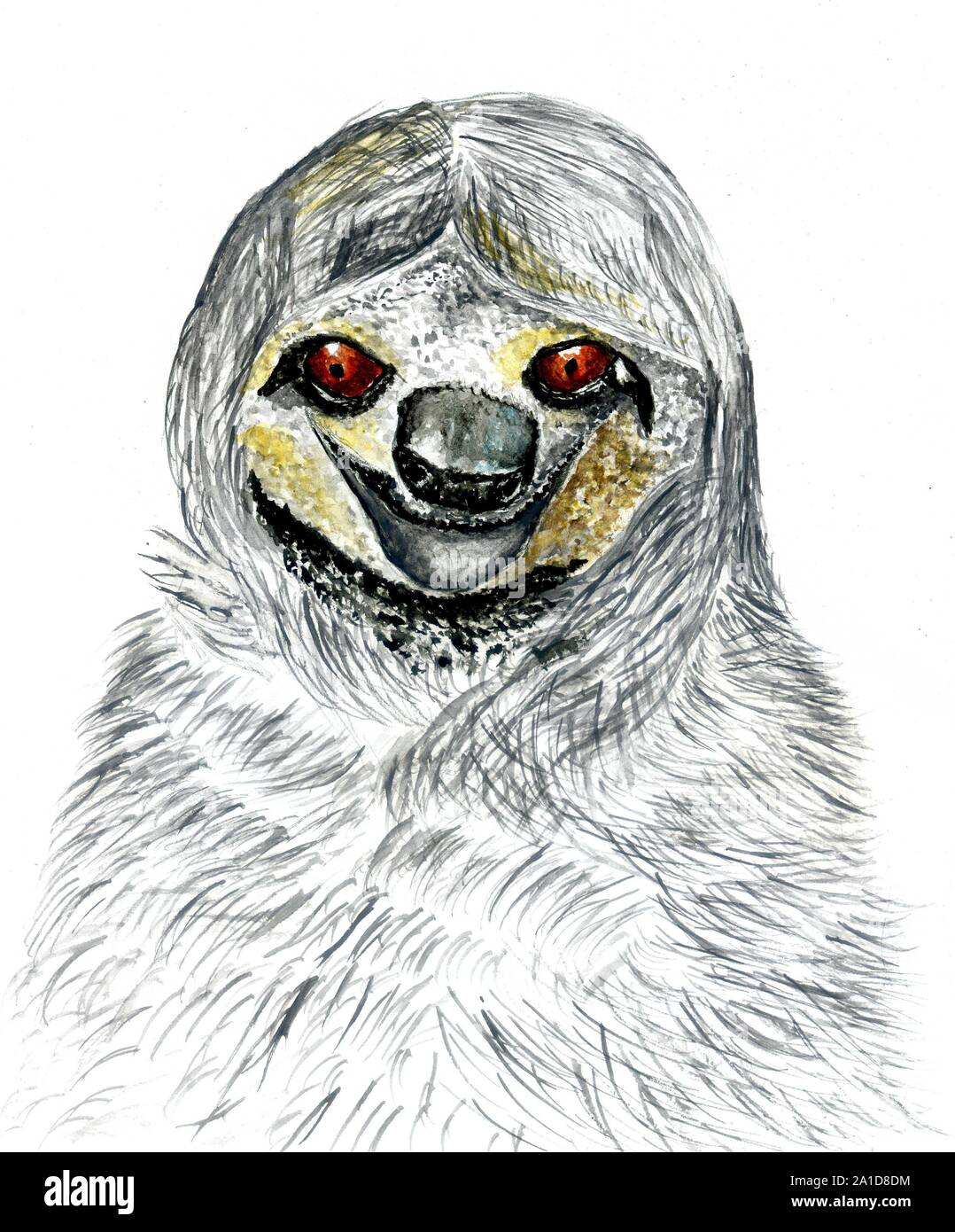 Grunge Skizze Portrait von ein Faultier in Aquarell gemalt