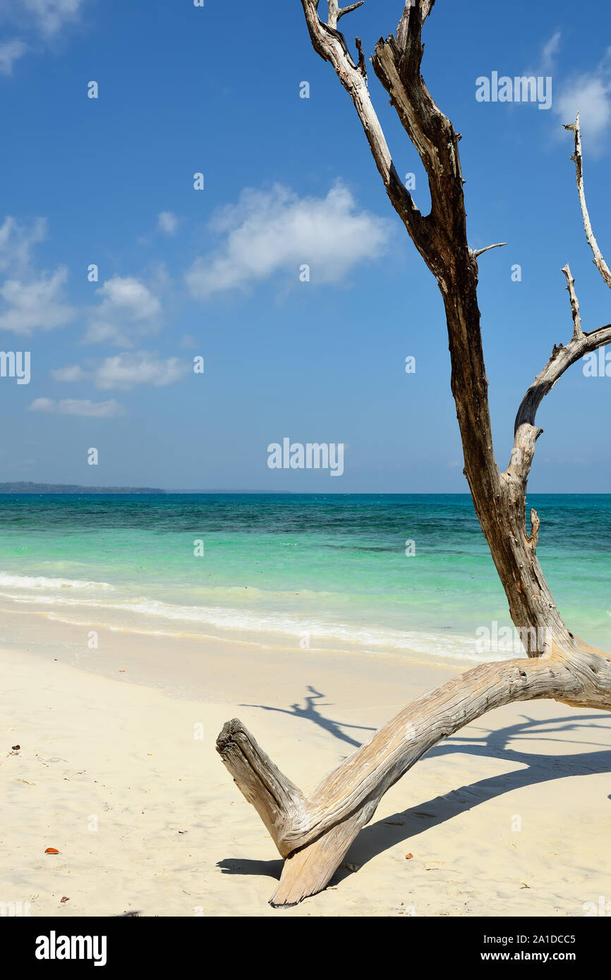 Kala Patthat Strand, Havelock Island, Andaman und Nicobar Inseln, Indien Stockfoto