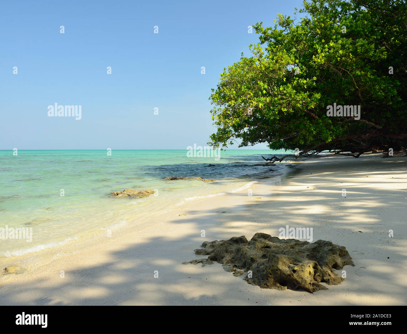 North Sentinel Island Andamanen Und Nikobaren Unberührte Strand auf Havelock Island der Andamanen und Nikobaren