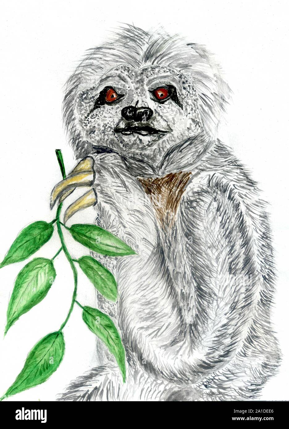 Grunge Skizze Portrait von ein Faultier in Aquarell gemalt