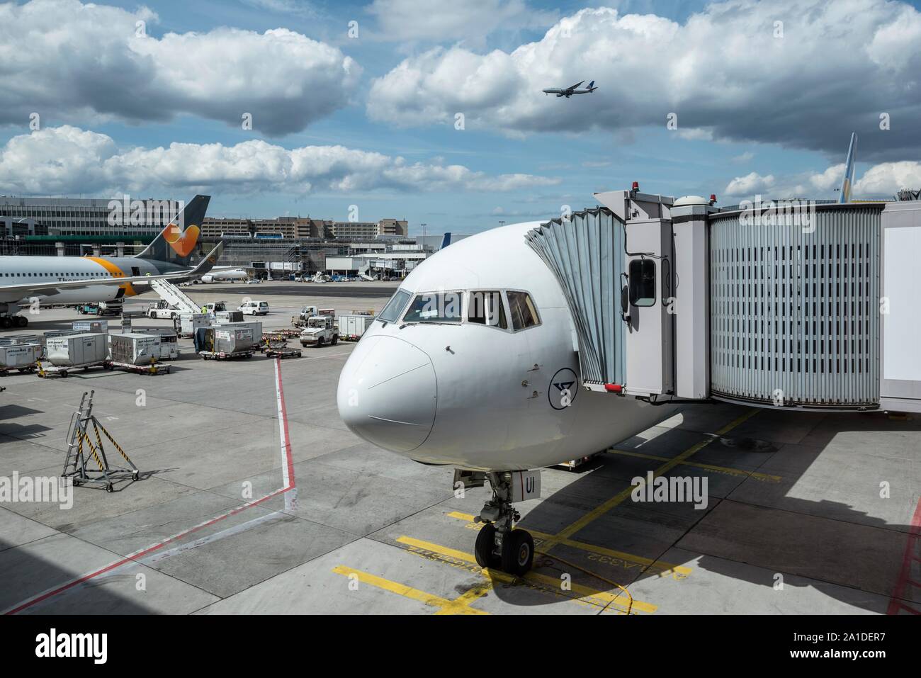 Condor Boeing 767-300 mit der Brücke, Flughafen Frankfurt, Hessen, Deutschland Stockfoto
