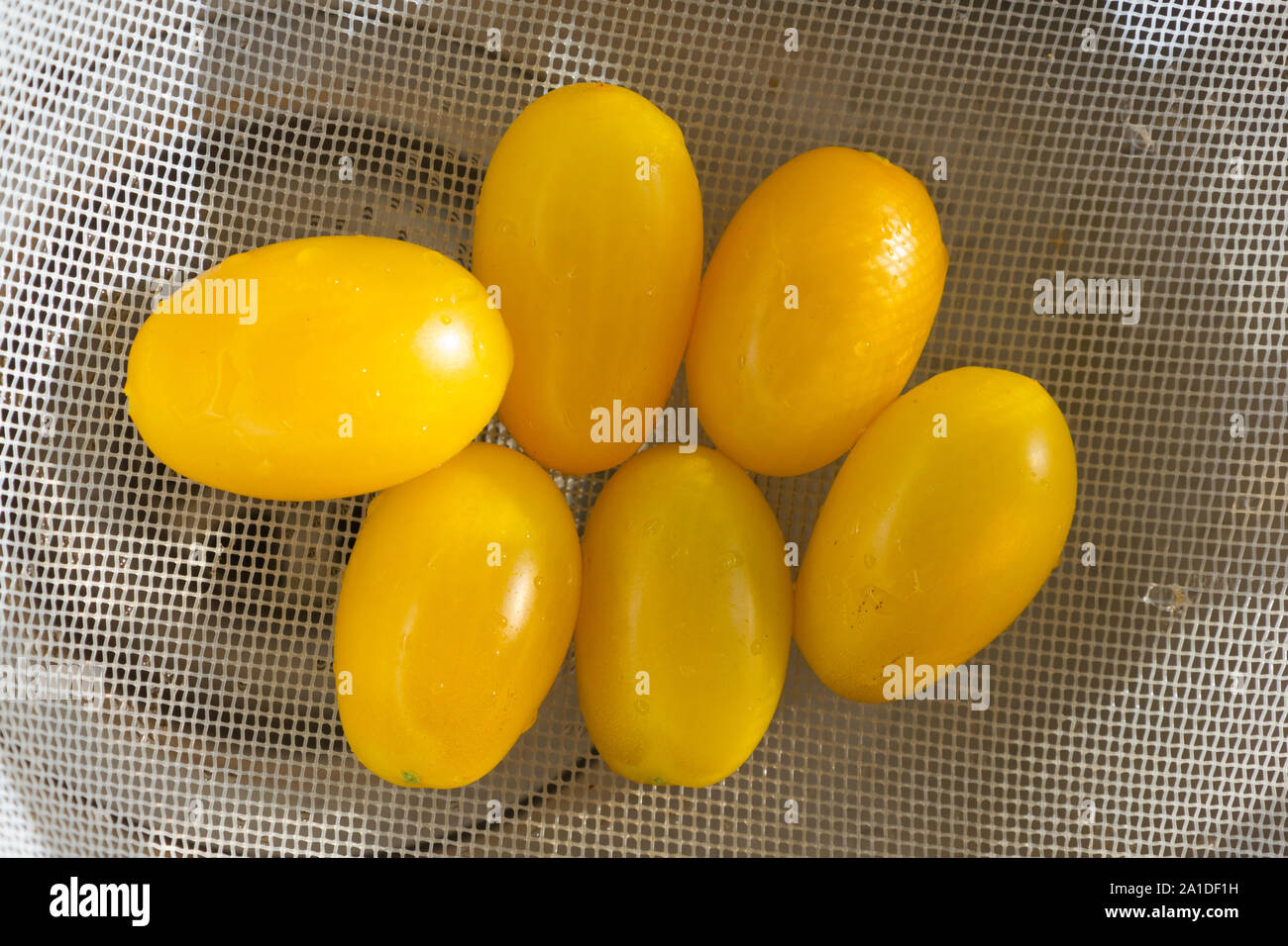 Gelbe birnenförmigen Tomaten in einer Abtropffläche Stockfoto